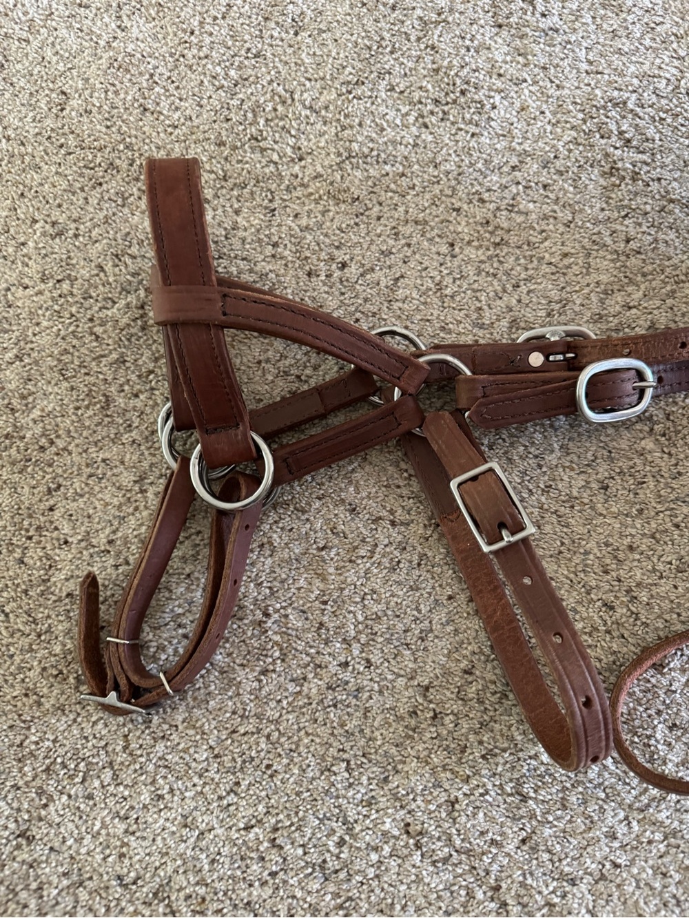 Buckaroo Leather Side Pull Bitless Bridle harness leather NWOT - Picture 6 of 8